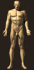 adam_naked_th.jpg